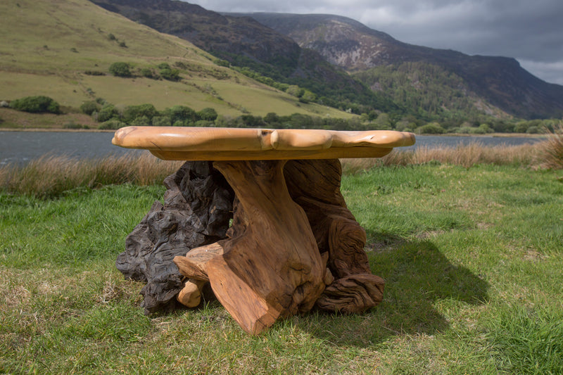 Rustic Salvaged Yew, Oak and Bog Oak Stump Coffee Table. Handmade in Wales, UK