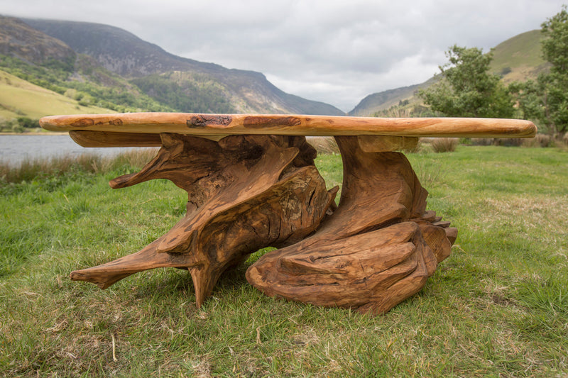 Rustic Alder and Oak Stump Coffee Table. Handmade in Wales, UK. Stump View