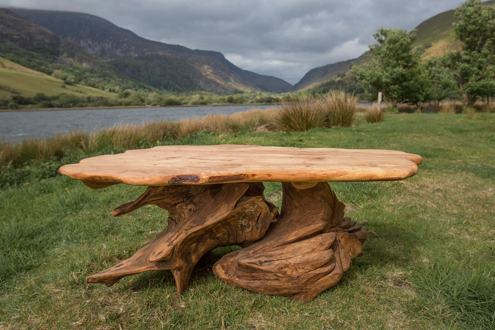Oak stump table