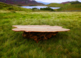 Rustic Handmade Reclaimed Elm and Oak Stump Coffee Table