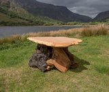 Rustic Salvaged Yew, Oak and Bog Oak Stump Coffee Table. Handmade in Wales, UK. 2 Contrasting Stumps.