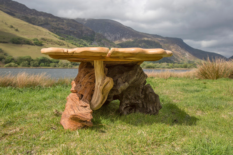 Rustic Salvaged Yew, Oak and Bog Oak Stump Coffee Table. Handmade in Wales, UK. Underside View.