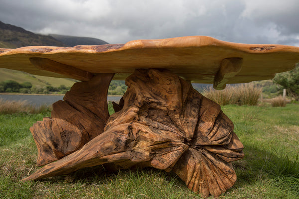 Rustic Alder and Oak Stump Coffee Table. Handmade in Wales, UK. Stump Detail.