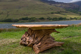 Rustic Alder and Oak Stump Coffee Table. Handmade in Wales, UK. Stump Detail.