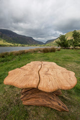 Rustic Alder and Oak Stump Coffee Table. Handmade in Wales, UK. Top View.