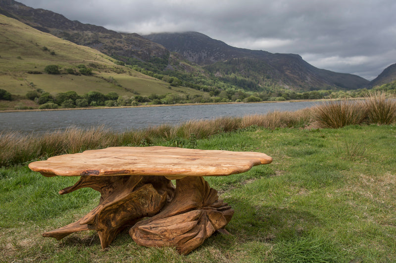 Rustic Alder and Oak Stump Coffee Table. Handmade in Wales, UK.